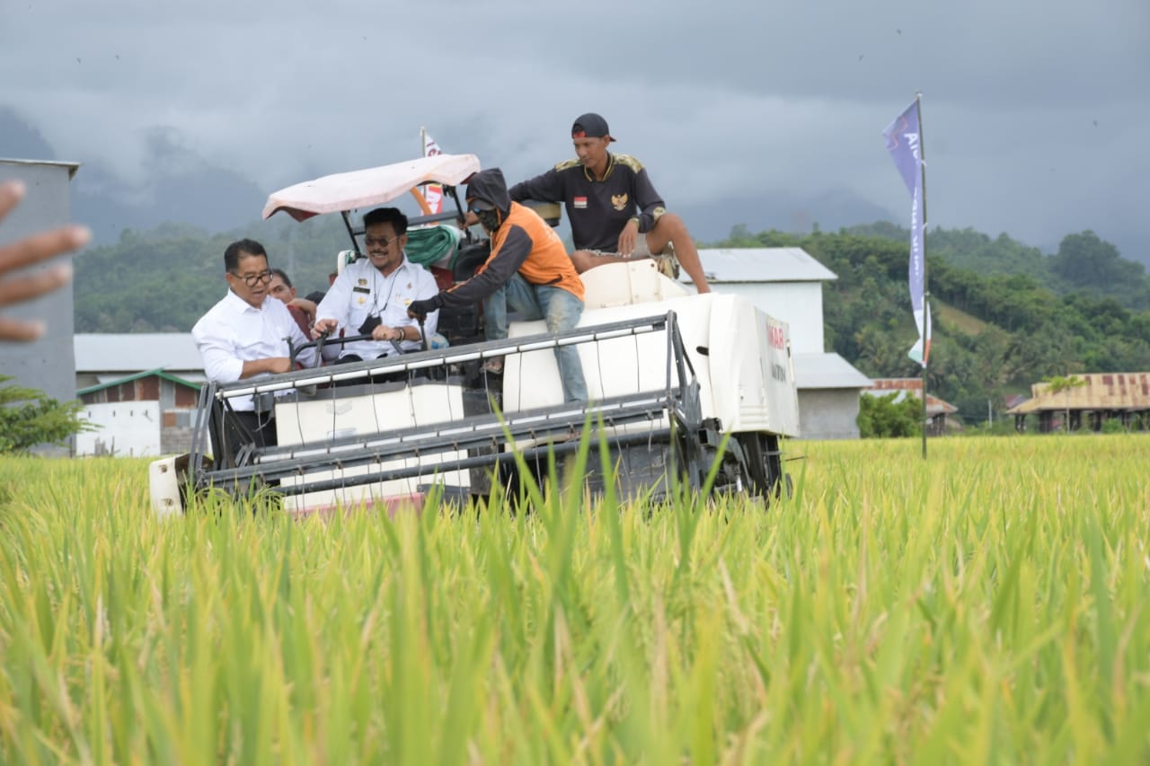 Mentan akan Bantu 2.000 Hektare Lahan untuk Hilirisasi Pertanian di Sulbar